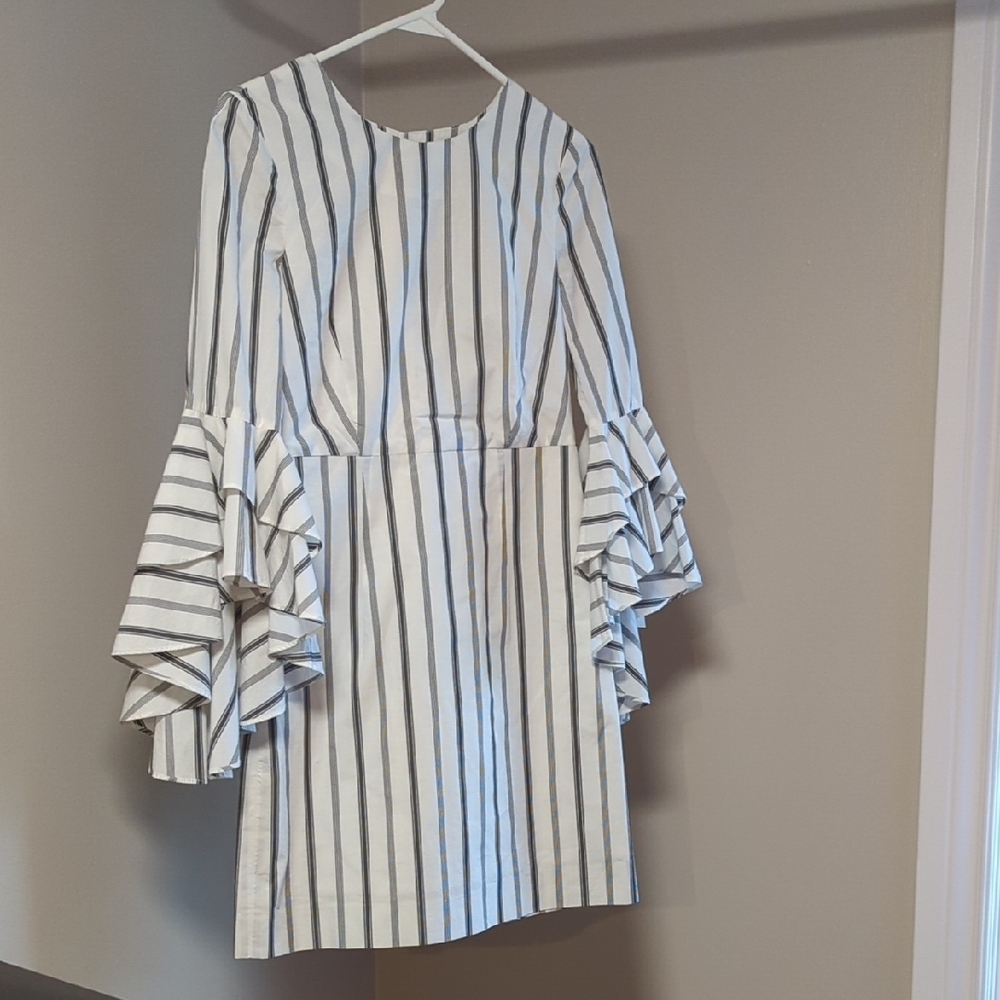 Striped Dress with Ruffled Sleeves